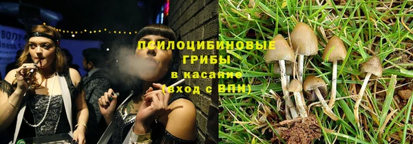 шишки Верхнеуральск